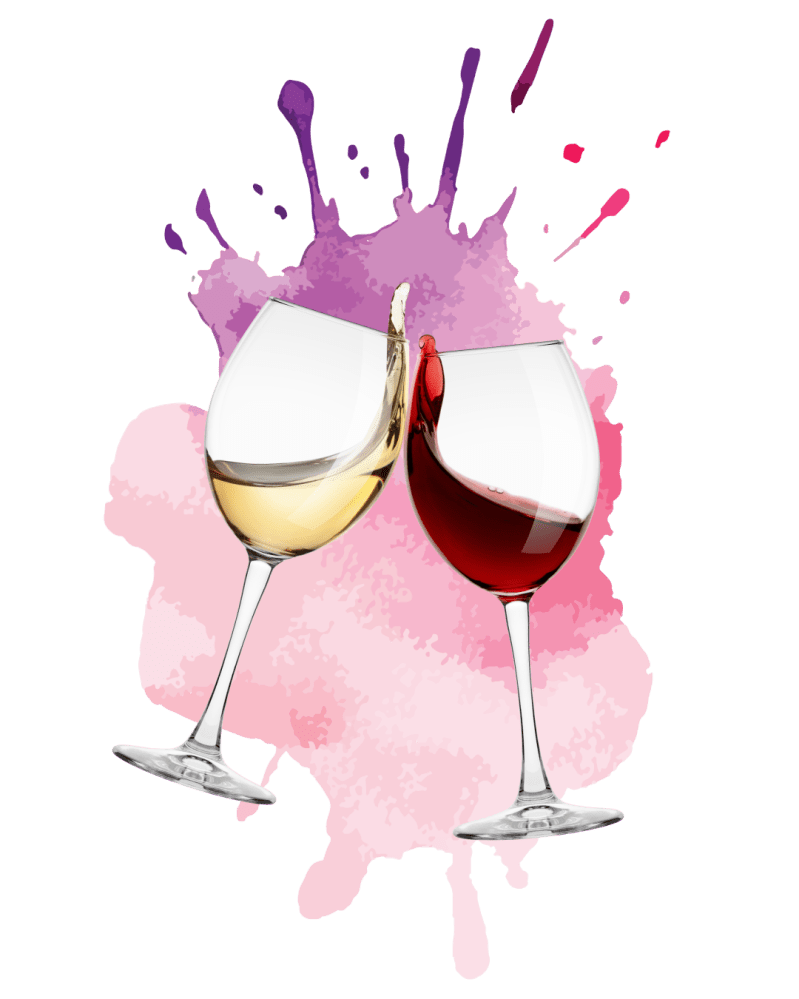 a close up of a flower